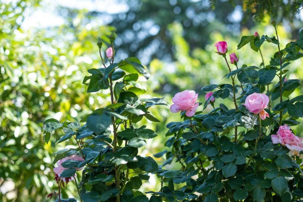 Bois Et Chiffons Famille Et Confort Siorac-en-Perigord Ngoại thất bức ảnh